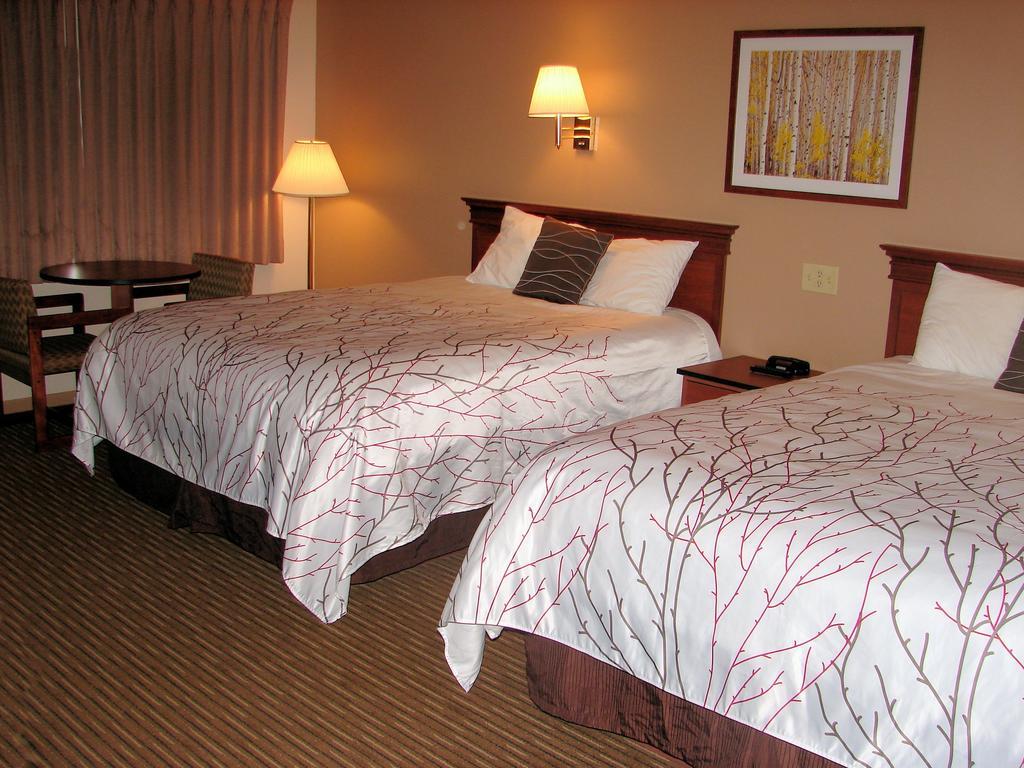 Stagecoach Inn & Suites Dubois Room photo